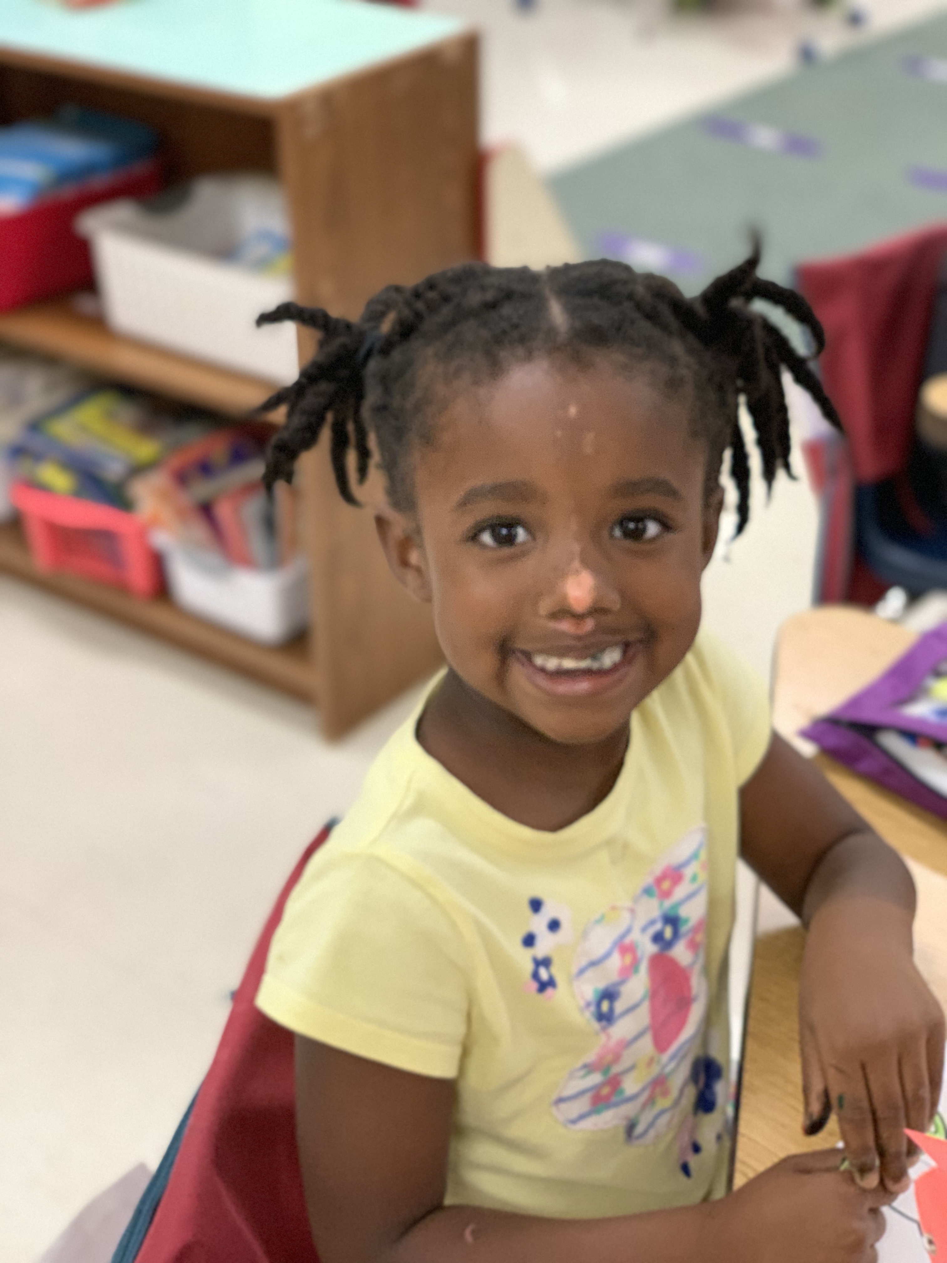 Tremont School District 702